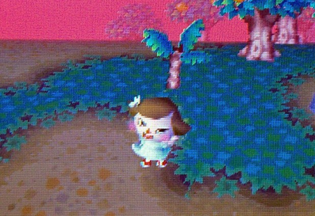 Twisk learning shyness