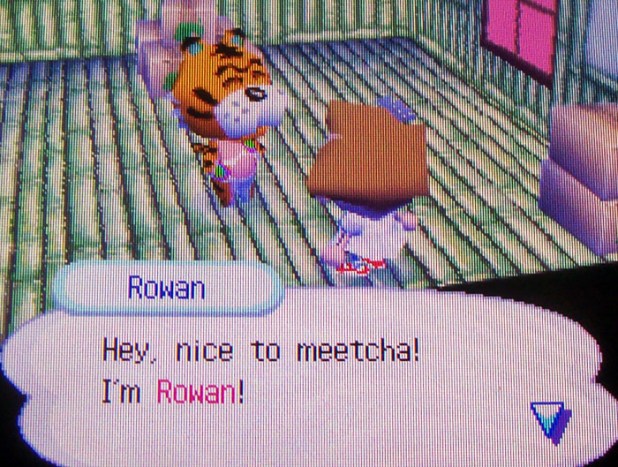Meeting Rowan
