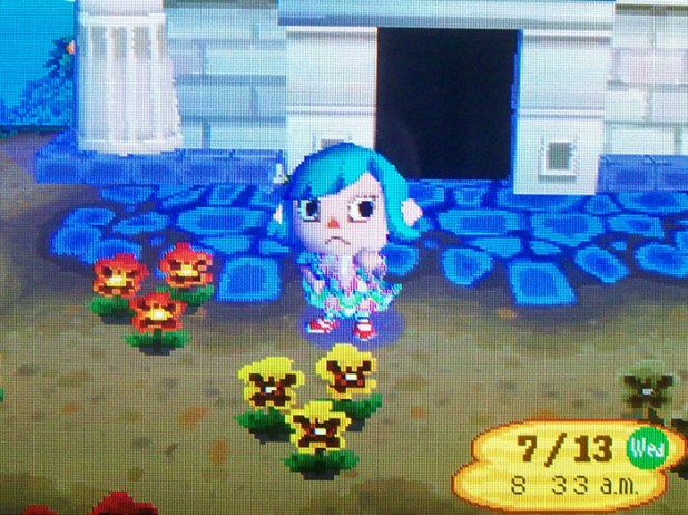 another orange pansy