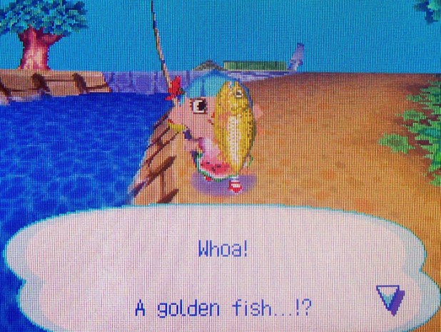 Caught another dorado