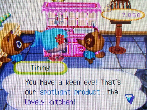 The spotlight item is a lovely kitchen