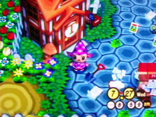 My dad's Tennessee Volunteers house