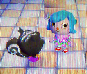 Blaire packed up to move