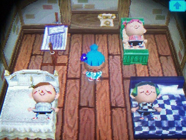 New beds for Twisk, Bell, Harmony, and Melody in the attic