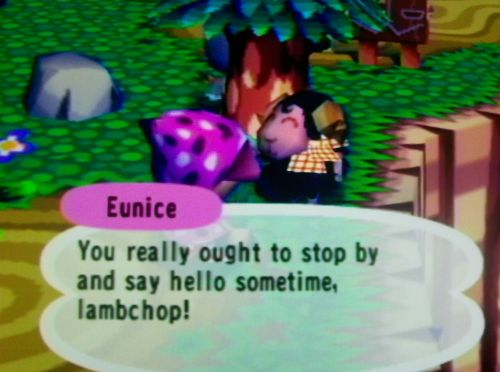 Eunice