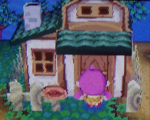 Green roof cottage with wooden beams