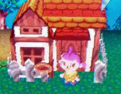 Red roof cottage with wooden beams