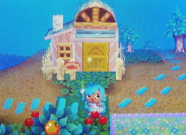 Lobo's pink and blue house exterior near the town hall