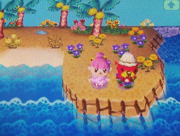 Pascal by the island