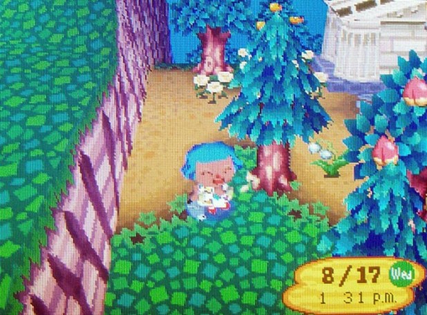 First jacob's ladder