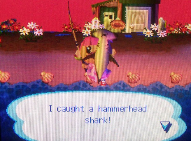 Bell catching a hammerhead shark in a 6PM sunset