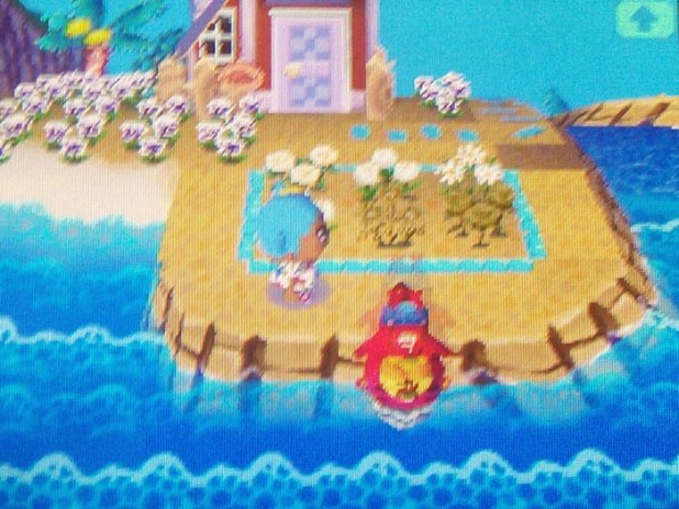 Pascal diving by Olivia's house