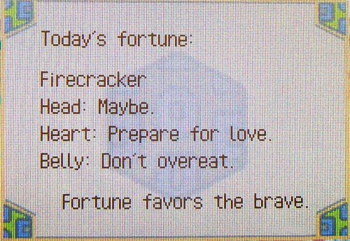 Fireworks show fortune