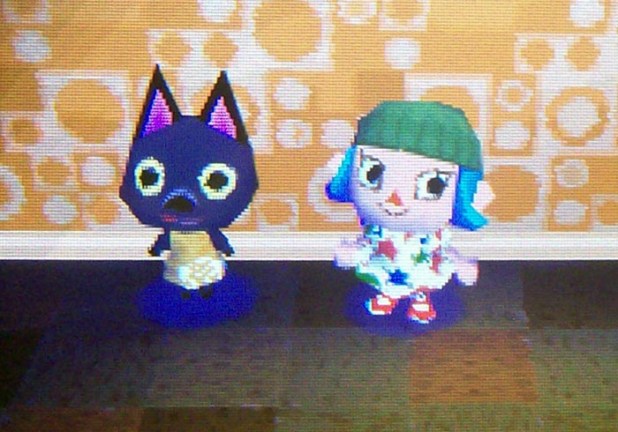 Kiki packed up to move