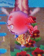 Shrunk offering Twisk to learn anger