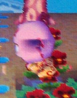 Shrunk offering Twisk to learn scheming