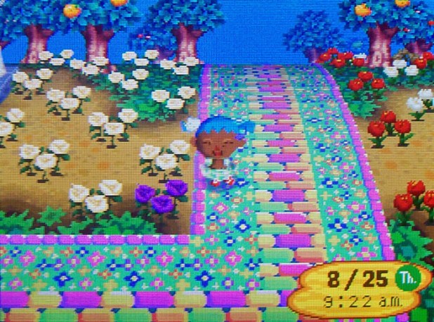 A new purple rose pops up next to my path