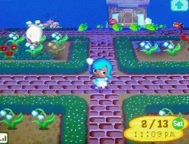 Hedge-lined brick crossroads lined with jacob's ladder gardens