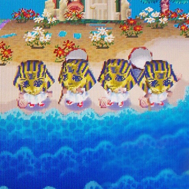 Four King Tuts in a line on the beach