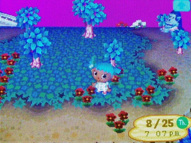 Red pansies and trees to fill this previously blank spot