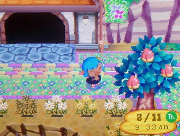 Fully grown peach tree by the gate pond