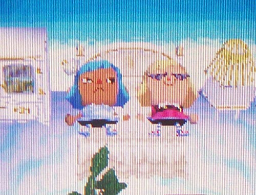 Getting ready to bed-bump; Twisk has a bit of a glaring side-eye towards Kammile