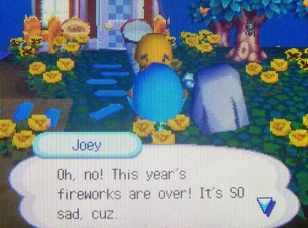 Joey: Oh, no! This year's fireworks are over! It's SO sad.