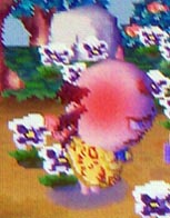 Shrunk offering Harmony to learn anger