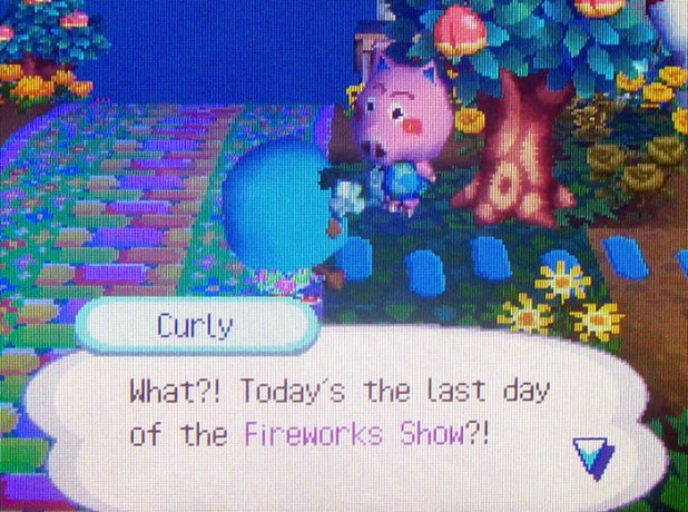 Curly: What?! Today's the last day of the Fireworks Show?!