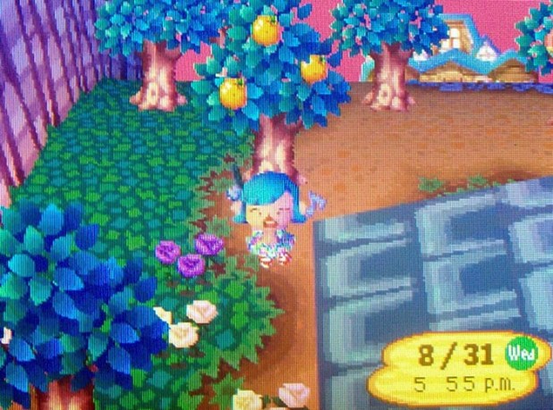 New purple rose popped up by the museum