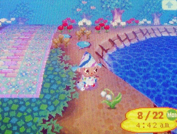 Jacob's ladder left by Rain