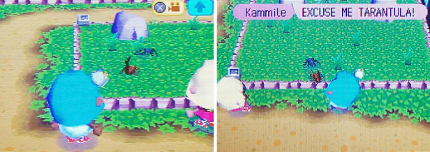 Kammile and I watching the tarantula and scorpion battle it out