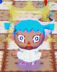 Twisk expressing shock