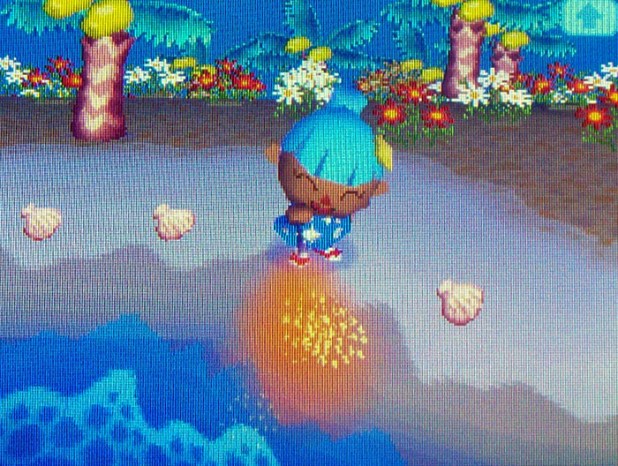 Twisk firing a roman candle by the beach