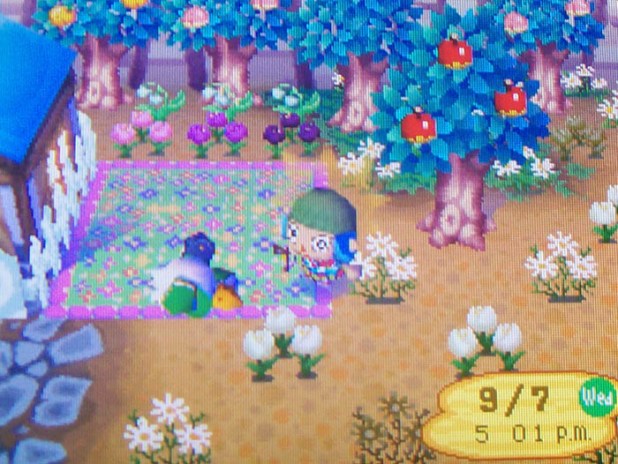 Pete knocked out in a flowerbed