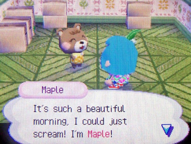 Maple: It's such a beautiful morning, I could just scream! I'm Maple!
