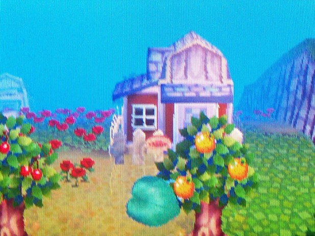 Maple's house exterior