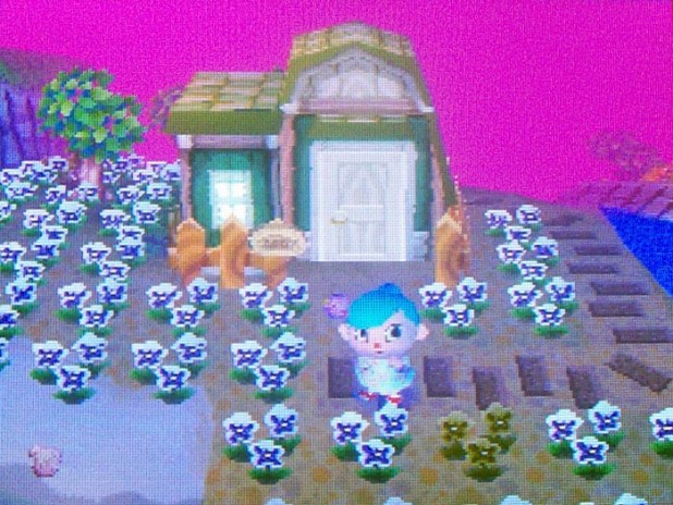 Nan's house exterior