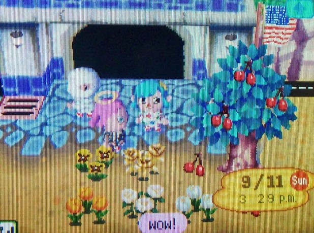 Kammile's gift of flowers for Jemma