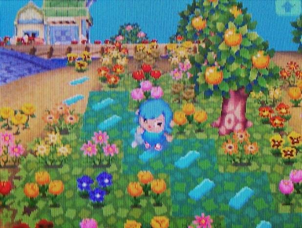 Mismatching side paths on island