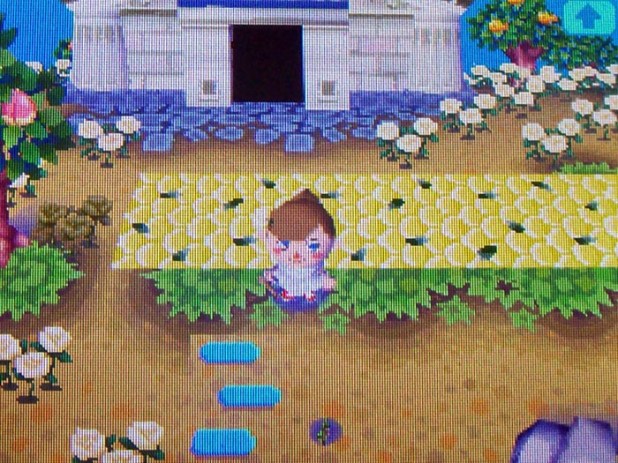 Still need to replace the pastel blue, spaced-brick side paths