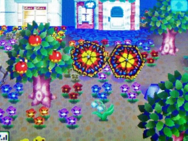 Showing off our matching butterfly parasols