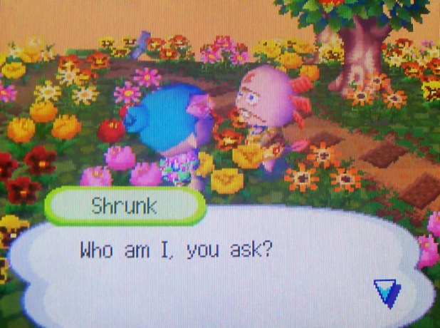 Shrunk: Who am I, you ask?