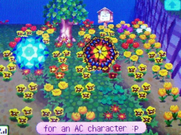 Pierce's old, yellow garden