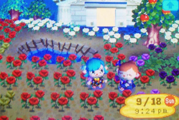 Bundeena's museum garden