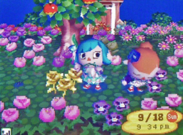 Teru dozing off in the hybrid field