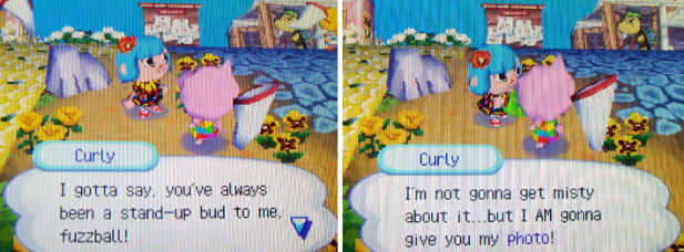 Curly: I gotta say, you've always been a stand-up bud to me. I'm not gonna get misty about it...but I AM gonna give you my photo!