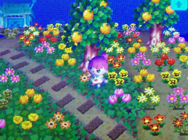 New side path of spaced brown bricks