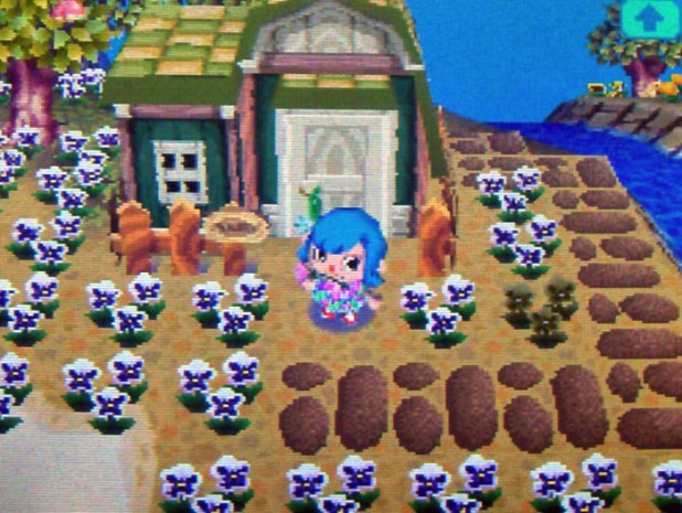 Cobblestone side path