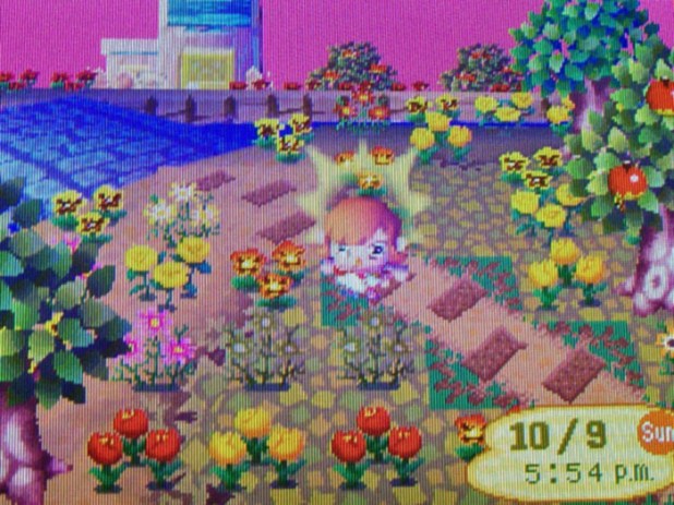 Dead flowers on island